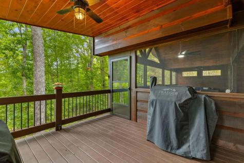 199 Fox Run Drive Blue Ridge GA 30513
