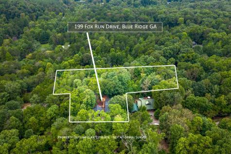 199 Fox Run Drive Blue Ridge GA 30513