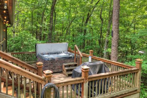 79 Maxwell Lane Blue Ridge GA 30513