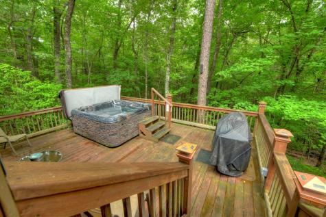 79 Maxwell Lane Blue Ridge GA 30513