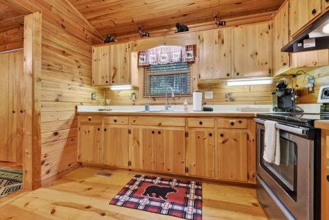 79 Maxwell Lane Blue Ridge GA 30513