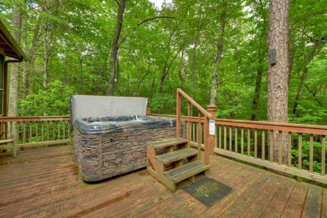 79 Maxwell Lane Blue Ridge GA 30513