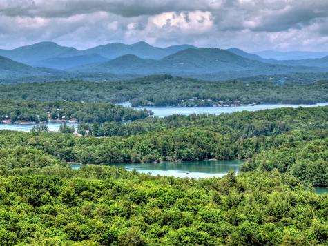 454 Genessee Path Blue Ridge GA 30513