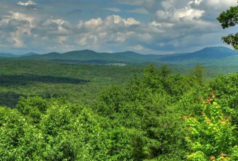 454 Genessee Path Blue Ridge GA 30513