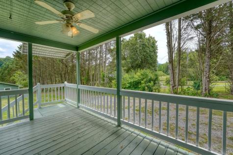 233 Messer Road (3) Warne NC 28909
