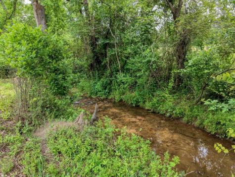 233 Messer Road (3) Warne NC 28909