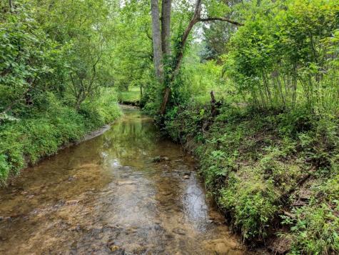 233 Messer Road (3) Warne NC 28909