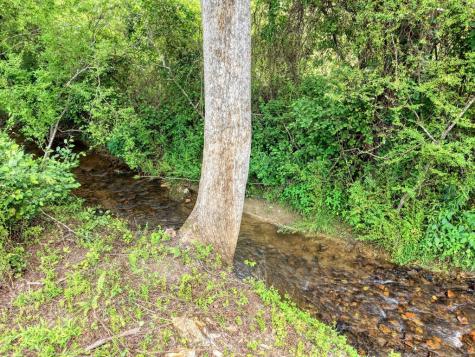 233 Messer Road (3) Warne NC 28909