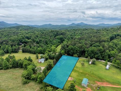 233 Messer Road (3) Warne NC 28909