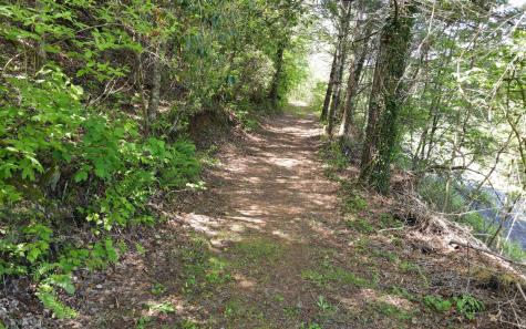 399 Nix Road Murphy NC 28906