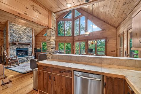23 Dolores Drive Mineral Bluff GA 30559