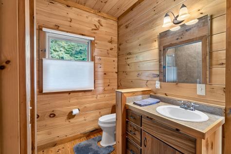 23 Dolores Drive Mineral Bluff GA 30559