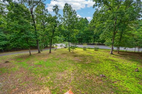 23 Dolores Drive Mineral Bluff GA 30559