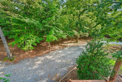 23 Dolores Drive Mineral Bluff GA 30559