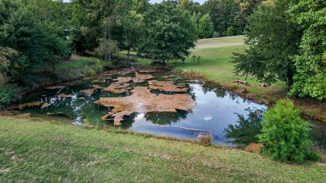 210 W Pierceville Road Mccaysville GA 30555