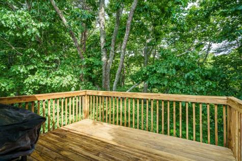 93 Horseshoe Bend Jasper GA 30143