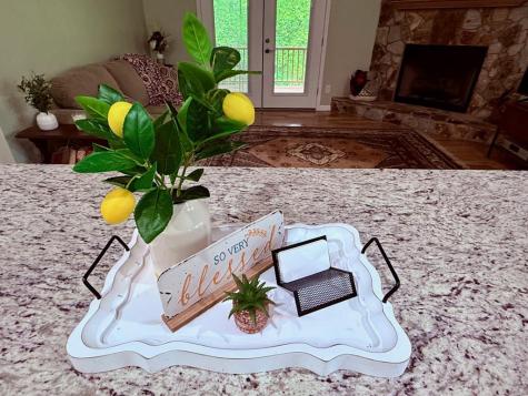 72 Victory Lane Murphy NC 28906