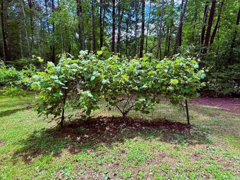 72 Victory Lane Murphy NC 28906