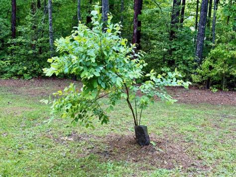 72 Victory Lane Murphy NC 28906