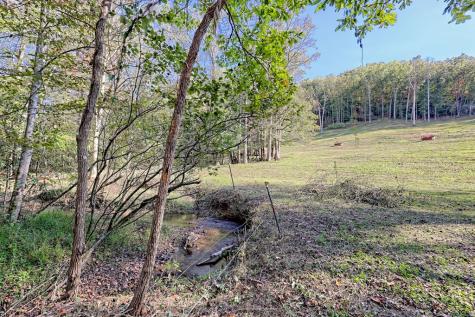 1306 Hot House Road Hayesville NC 28904