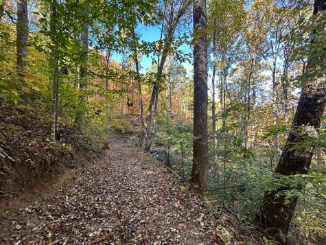 1306 Hot House Road Hayesville NC 28904