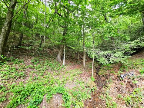 45 Sulpher Lane Andrews NC 28901