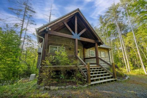 345 Deer Trail Mineral Bluff GA 30559