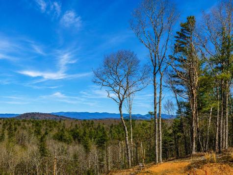 78 Hilltop Way Mineral Bluff GA 30559