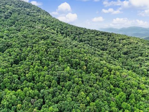 1583 Spring Cove Road Blairsville GA 30512