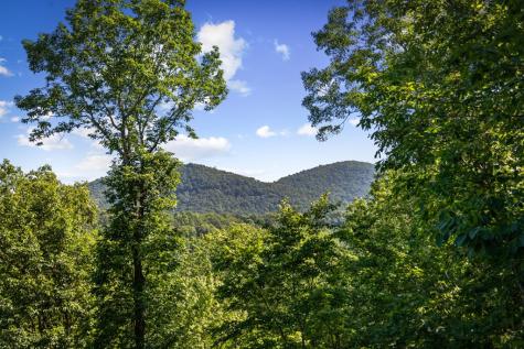 169 Walnut Mountain Road Ellijay GA 30540