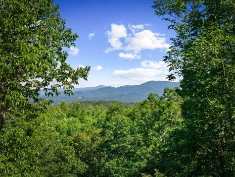 169 Walnut Mountain Road Ellijay GA 30540