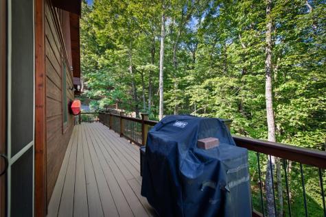 169 Walnut Mountain Road Ellijay GA 30540