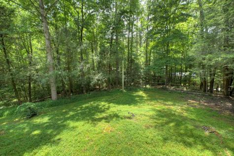 133 Yellowbird Trail Blue Ridge GA 30513