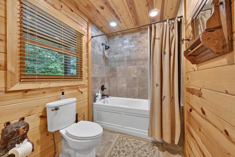 1579 Mangums Trail Blue Ridge GA 30513