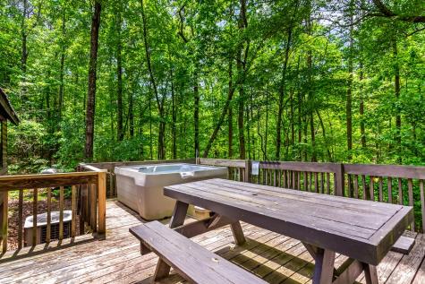 317 North Pine Road Ellijay GA 30536