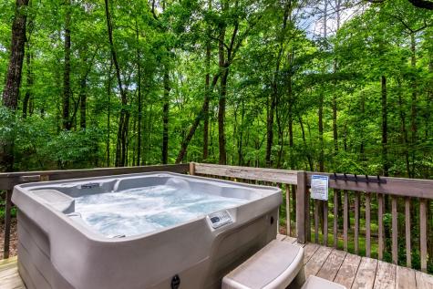 317 North Pine Road Ellijay GA 30536