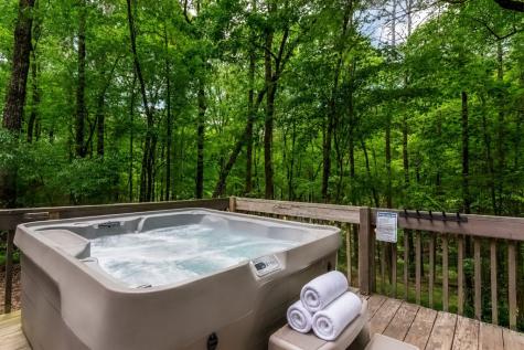317 North Pine Road Ellijay GA 30536