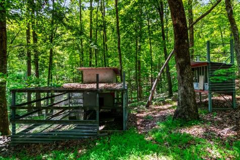317 North Pine Road Ellijay GA 30536