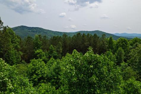 239 Ridge Top Drive Ellijay GA 30536