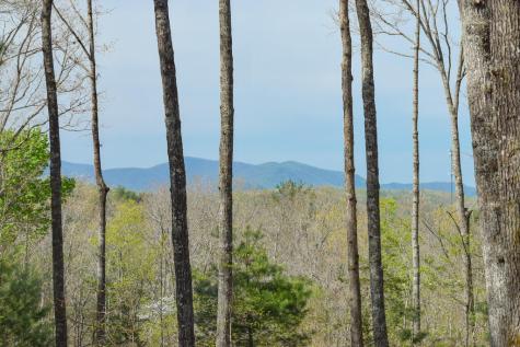 375 Ridge Brook Drive Morganton GA 30560