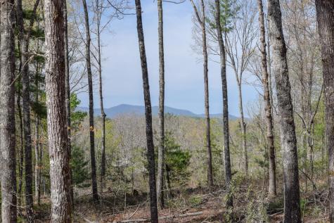 375 Ridge Brook Drive Morganton GA 30560