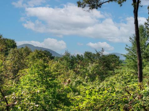 330 Seneca Drive Ellijay GA 30540