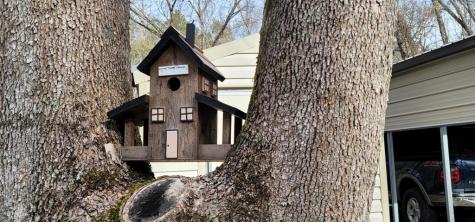 395 Mill Hollow Road Murphy NC 28906