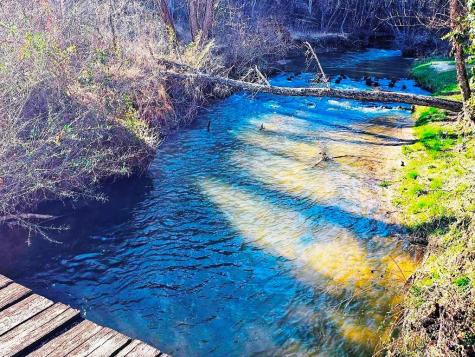 395 Mill Hollow Road Murphy NC 28906