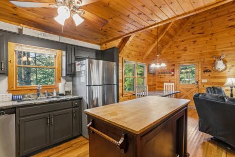 142 Oak Hill Drive Mineral Bluff GA 30559