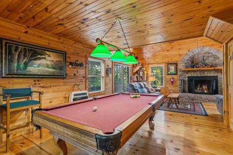 142 Oak Hill Drive Mineral Bluff GA 30559