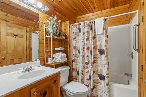 142 Oak Hill Drive Mineral Bluff GA 30559