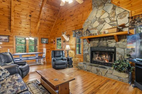 142 Oak Hill Drive Mineral Bluff GA 30559