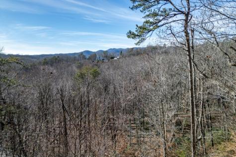 100 Smith Hill Road Cherry Log GA 30522