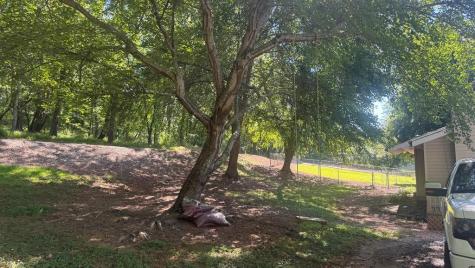 903 Village Road Hiawassee GA 30546